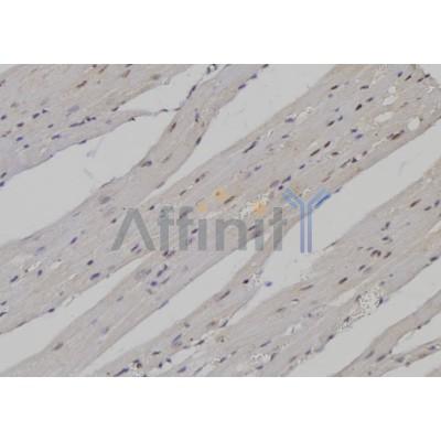 Валидация Affinity DF6644 - 18115