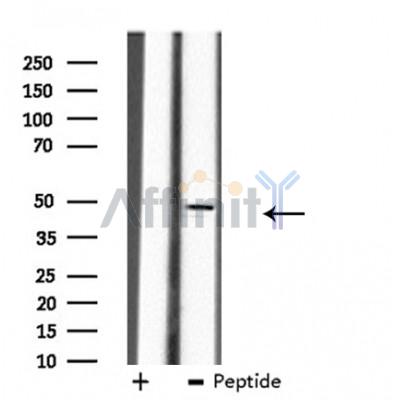 Валидация Affinity DF3840 - 14972