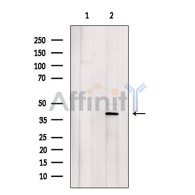 Валидация Affinity DF6975 - 18601