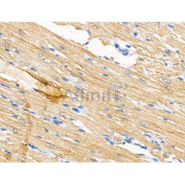 Валидация Affinity DF13355 - 8570