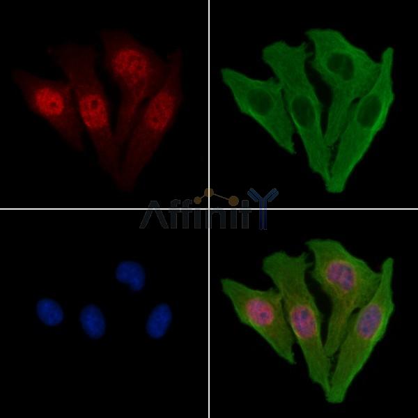 Валидация Affinity DF3866 - 15012