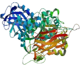 Phospholipase C Beta 1, Phosphoinositide Specific (PLCb1)