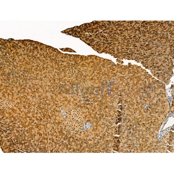 Валидация Affinity DF13226 - 8261