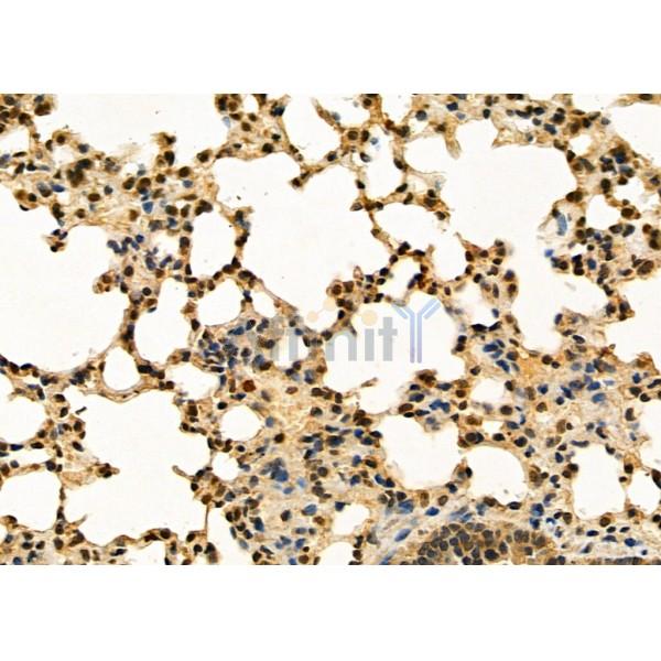 Валидация Affinity DF4910 - 16714