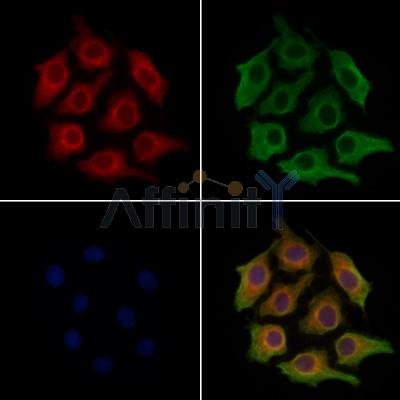 Валидация Affinity AF7826 - 4550