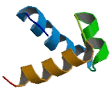 Transcription Termination Factor, RNA polymerase I (TTF1) Transcription Termination Factor, RNA polymerase I (TTF1)