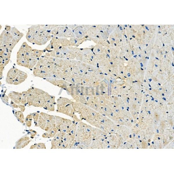 Валидация Affinity DF8302 - 20152