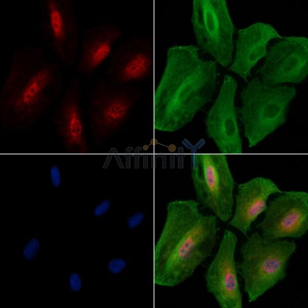 Валидация Affinity AF7772 - 4481