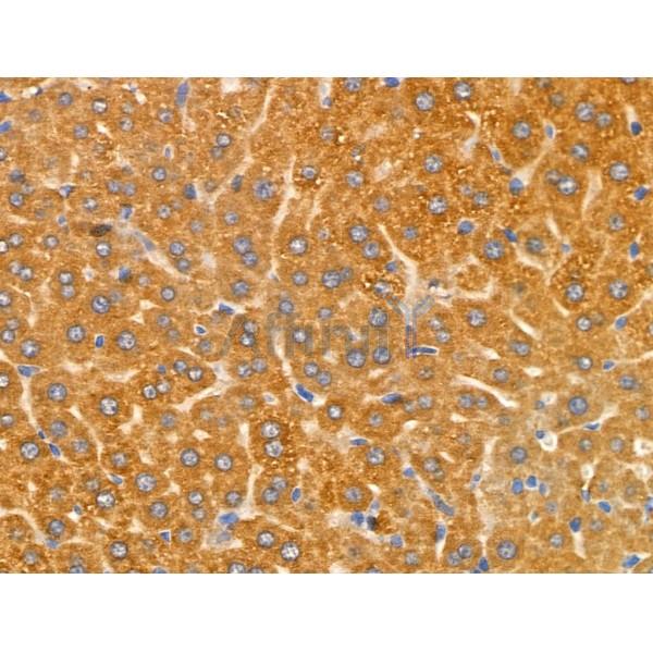 Валидация Affinity DF3573 - 14527