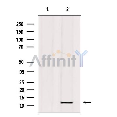 Валидация Affinity DF9459 - 22040