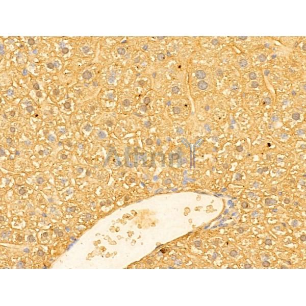 Валидация Affinity DF12210 - 6475