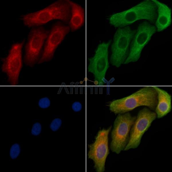 Валидация Affinity AF9164 - 4974