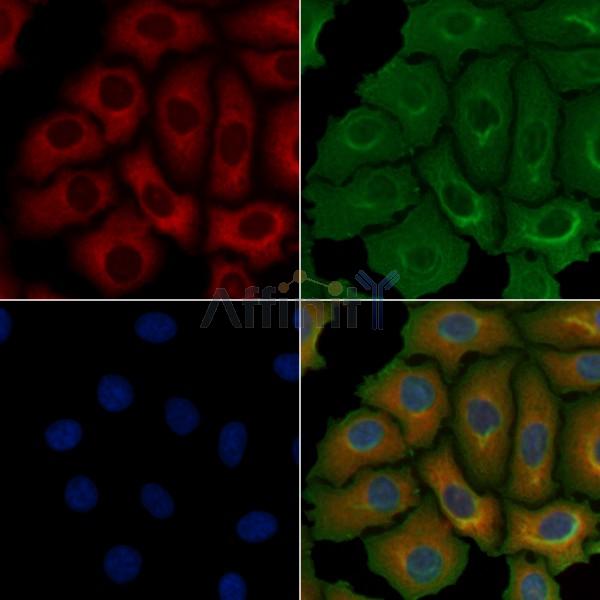 Валидация Affinity DF2554 - 13222