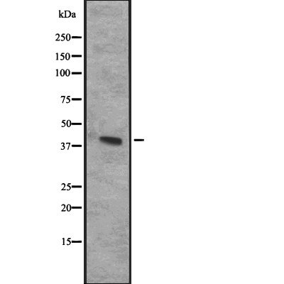 Валидация Affinity DF2326 - 12902