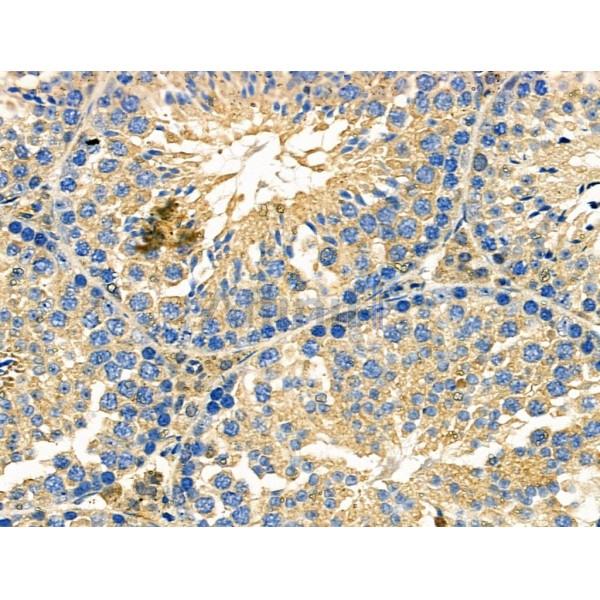 Валидация Affinity DF6141 - 17372