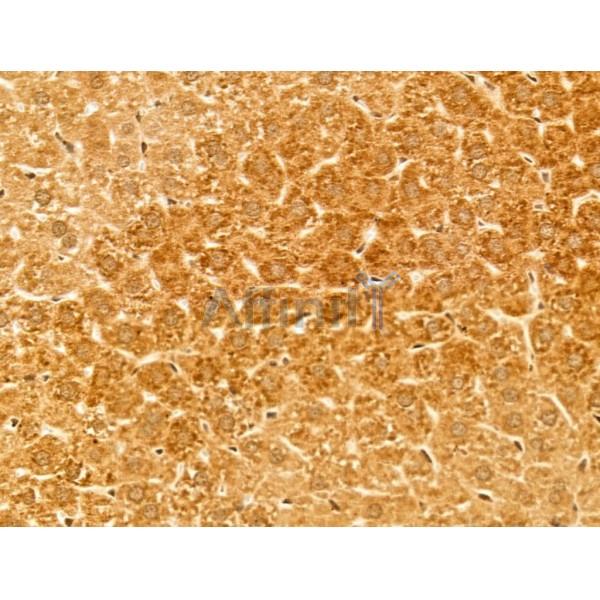 Валидация Affinity DF3571 - 14524