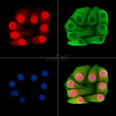 Валидация Affinity DF14790 - 10886