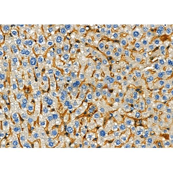 Валидация Affinity DF2668 - 13367