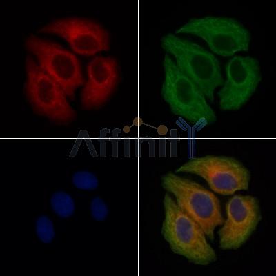 Валидация Affinity DF13406 - 8689