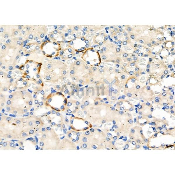 Валидация Affinity DF2245 - 12788