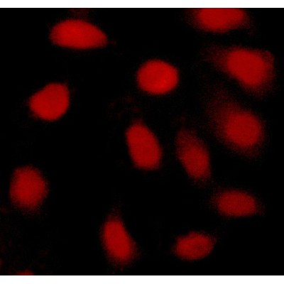 Валидация Affinity AF6054 - 3255