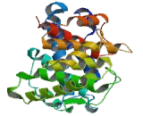 Complement Component 3a (C3a)