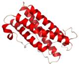 Leukemia Inhibitory Factor (LIF) Leukemia Inhibitory Factor (LIF)