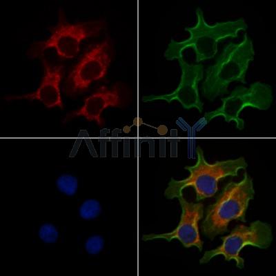 Валидация Affinity DF3890 - 15054