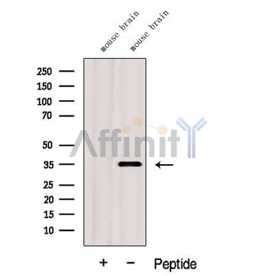 Валидация Affinity DF12617 - 7245