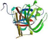 Fibroblast Growth Factor Binding Protein 2 (FGFBP2) Fibroblast Growth Factor Binding Protein 2 (FGFBP2)