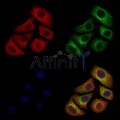 Валидация Affinity DF6874 - 18462