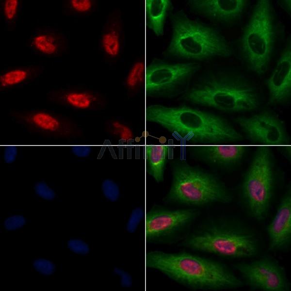 Валидация Affinity DF9646 - 22387