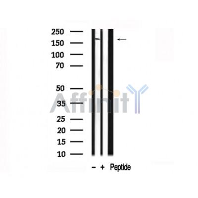 Валидация Affinity AF7719 - 4412