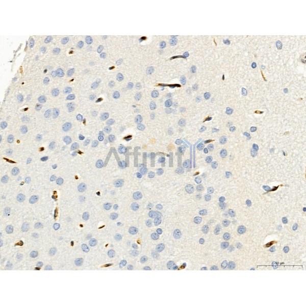 Валидация Affinity DF7123 - 18773