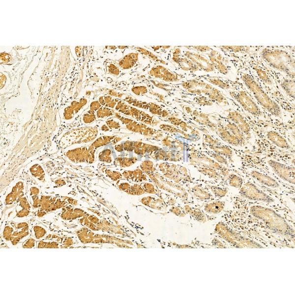 Валидация Affinity DF12030 - 6058