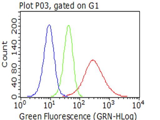 Валидация AssayVector ARM1056(162)