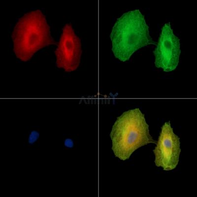 Валидация Affinity DF15805 - 12292