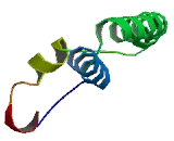 Transmembrane Emp24 Protein Transport Domain Containing Protein 1 (TMED1) Transmembrane Emp24 Protein Transport Domain Containing Protein 1 (TMED1)