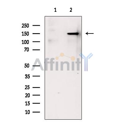Валидация Affinity DF7673 - 19444