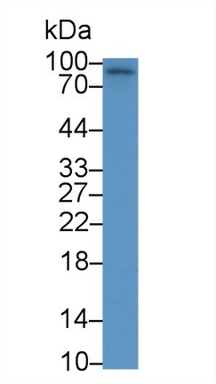 8882