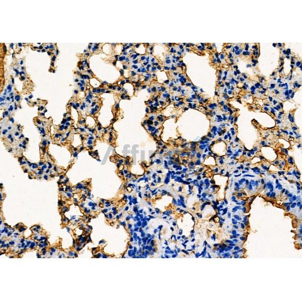 Валидация Affinity DF7913 - 19741