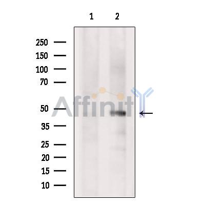 Валидация Affinity DF12273 - 6611
