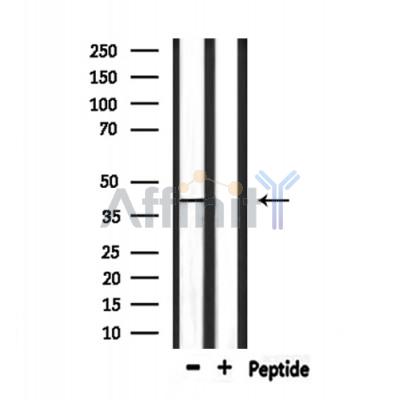 Валидация Affinity DF6719 - 18245