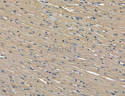 Валидация Affinity DF4017 - 15267