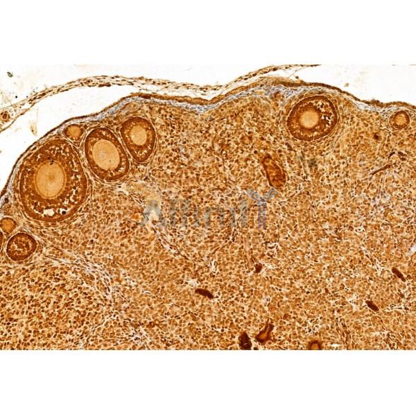 Валидация Affinity AF6188 - 3416