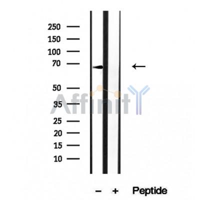 Валидация Affinity DF12312 - 6696