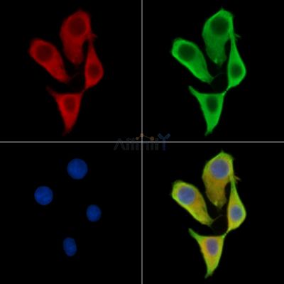 Валидация Affinity DF15604 - 12031