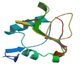C-Type Lectin Domain Family 4, Member A (CLEC4A) C-Type Lectin Domain Family 4, Member A (CLEC4A)