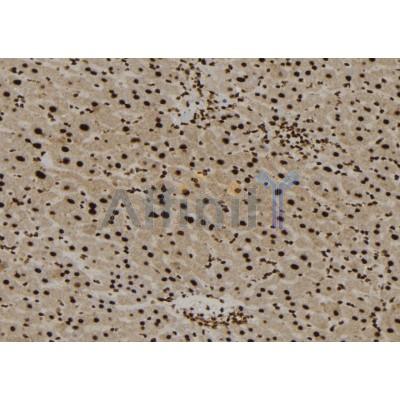 Валидация Affinity DF7021 - 18660