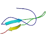 Fibronectin Type III Domain Containing Protein 5 (FNDC5) Fibronectin Type III Domain Containing Protein 5 (FNDC5)